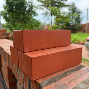 Gạch đinh đặc 19