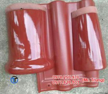 NGÓI Ý MỸ