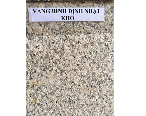 Đá sân vườn mẫu 06