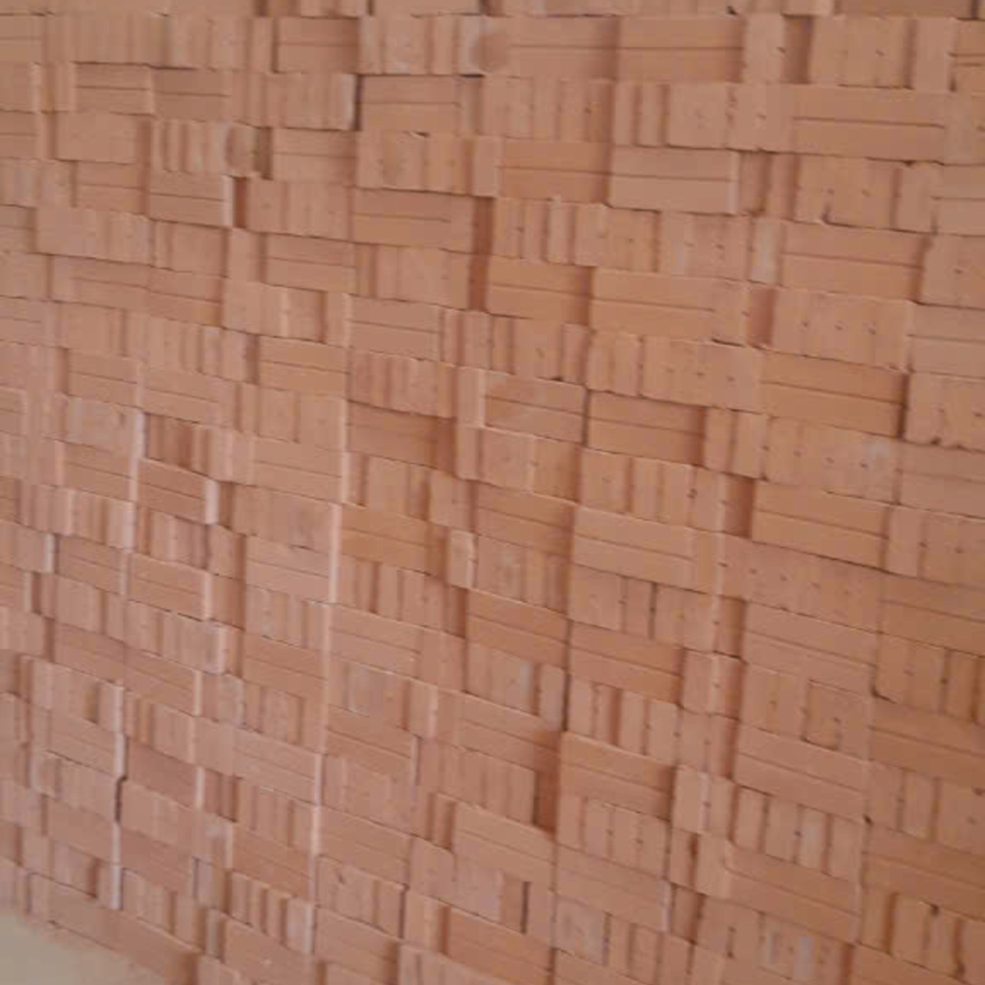 Gạch đinh đặc 12