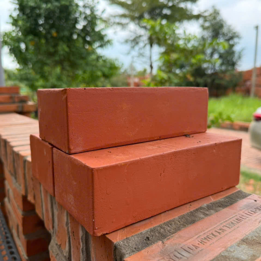 Gạch đinh đặc 19