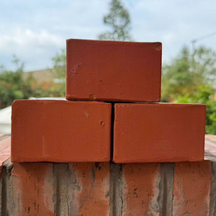 Gạch đinh đặc 20