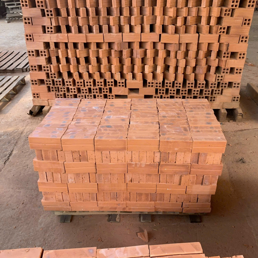 Gạch đinh đặc 24