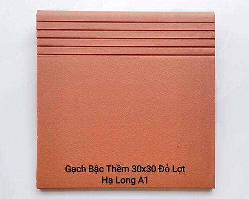 Gạch bậc thềm 30x30