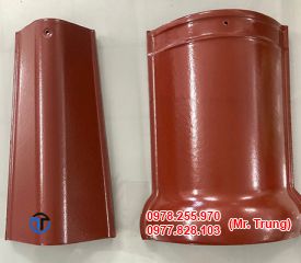 NGÓI Ý MỸ