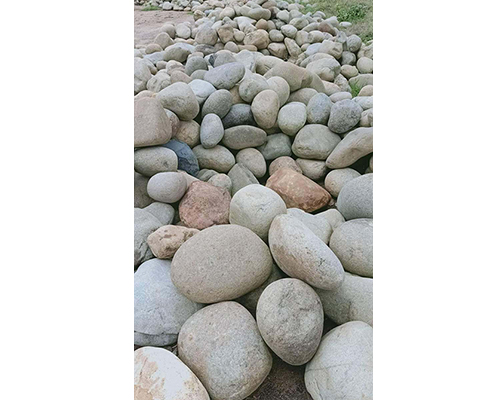 Sỏi cuôi mẫu 04